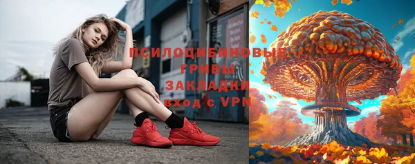 прущая мука Армянск