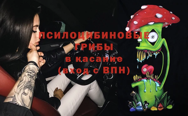 круглые Аркадак