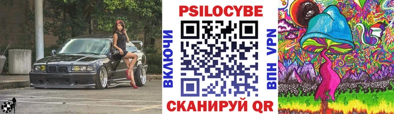 как найти закладки  Ленск  Псилоцибиновые грибы Psilocybine cubensis 